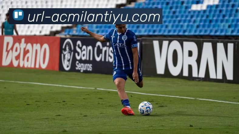 米兰体育平台生态图